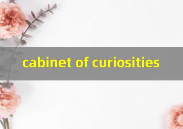  cabinet of curiosities